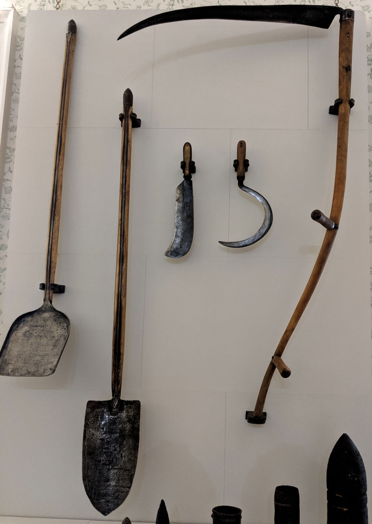 A selection of gardening tools