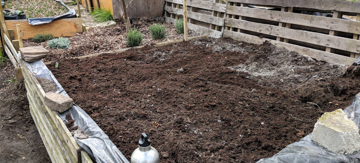 The raised beds in my backyard garden