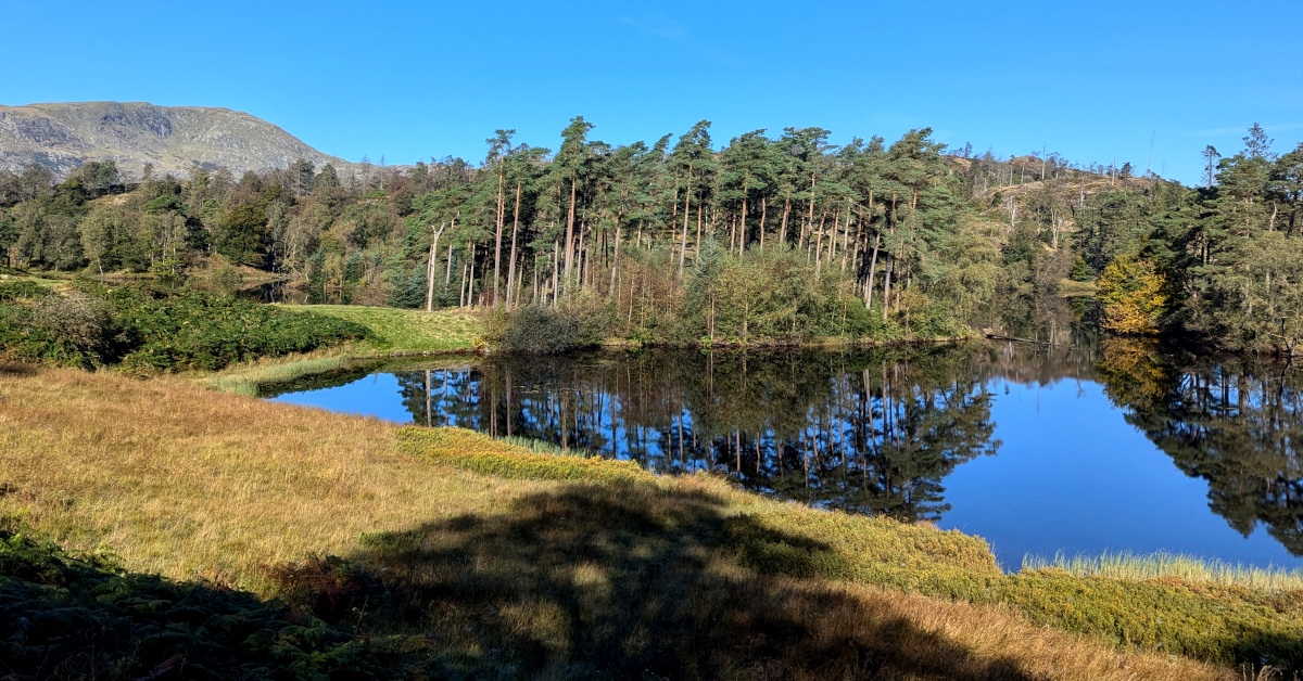 One of my favourite foraging places.