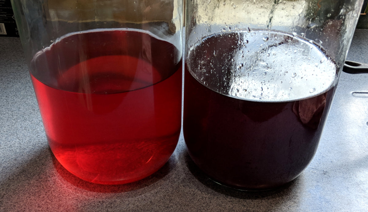 A comparison of my homemade plum and sloe gins